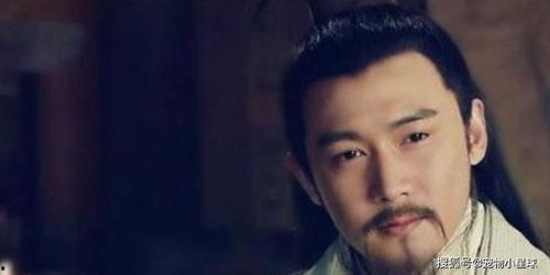 娱乐吃瓜酱卧龙凤雏